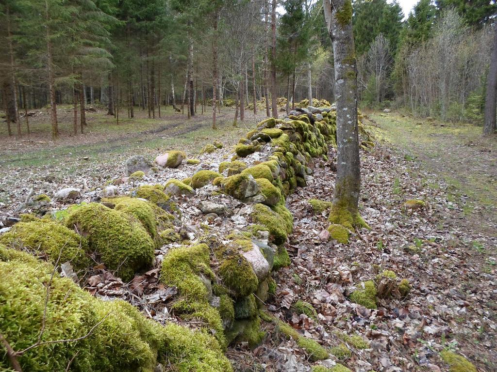 Forest House Willa Nasva Zewnętrze zdjęcie